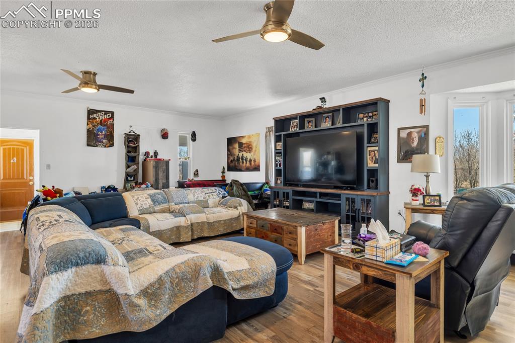 Image 26 of 49: Living area featuring plenty of natural light, a textured ceiling, hardwood