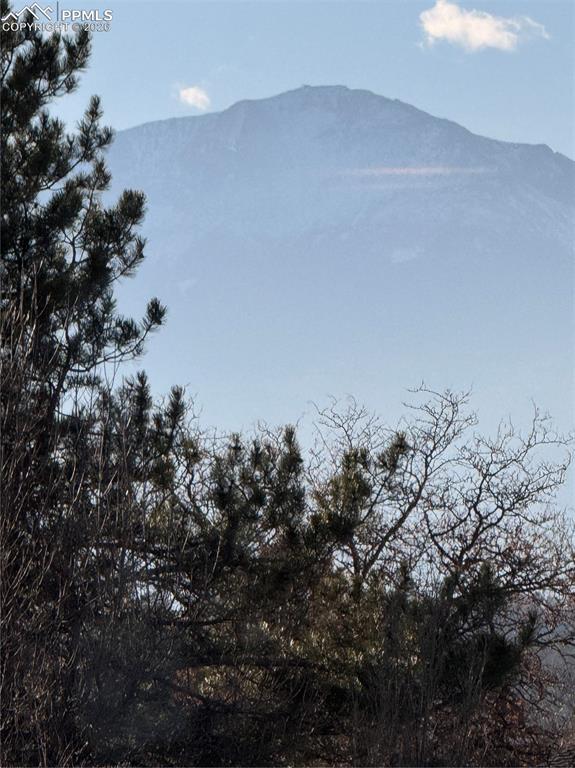Image 31 of 48: View from Primary Bathroom
