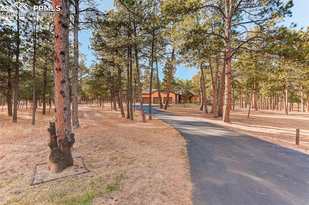 Image 34 of 45: View of asphalt driveway