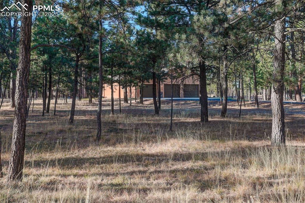 Image 6 of 45: View of yard with view of wooded area and a garage