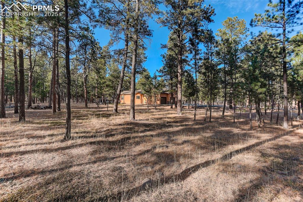 Image 7 of 45: View of yard featuring view of scattered trees