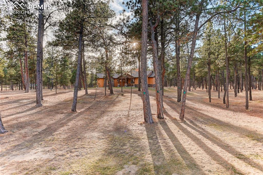 Image 8 of 45: View of front yard from the street