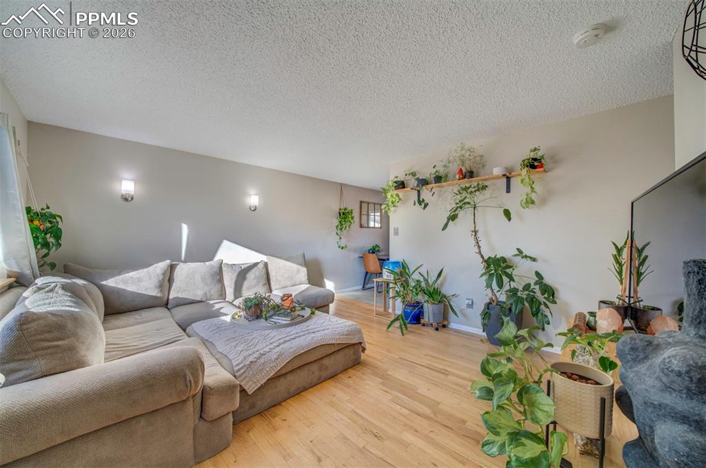 Image 3 of 41: Living Room