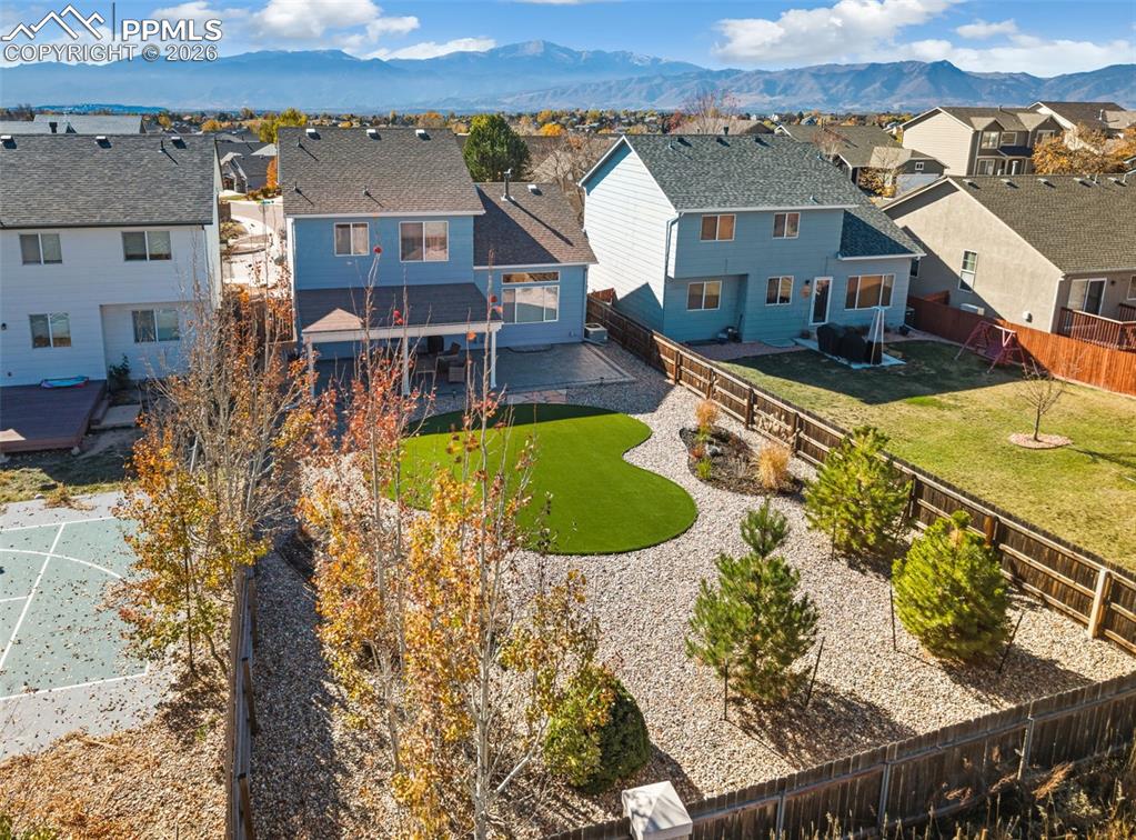 Image 42 of 50: Custom Landscaping with high quality turf and covered patio!