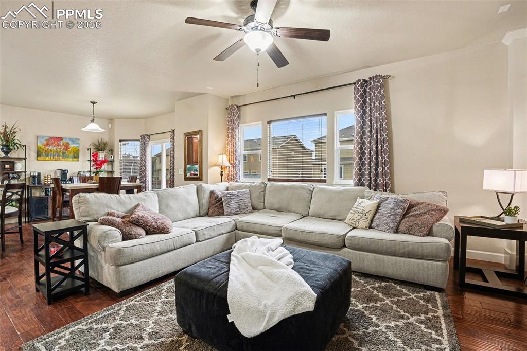 Image 4 of 31: Bright, open floorplan