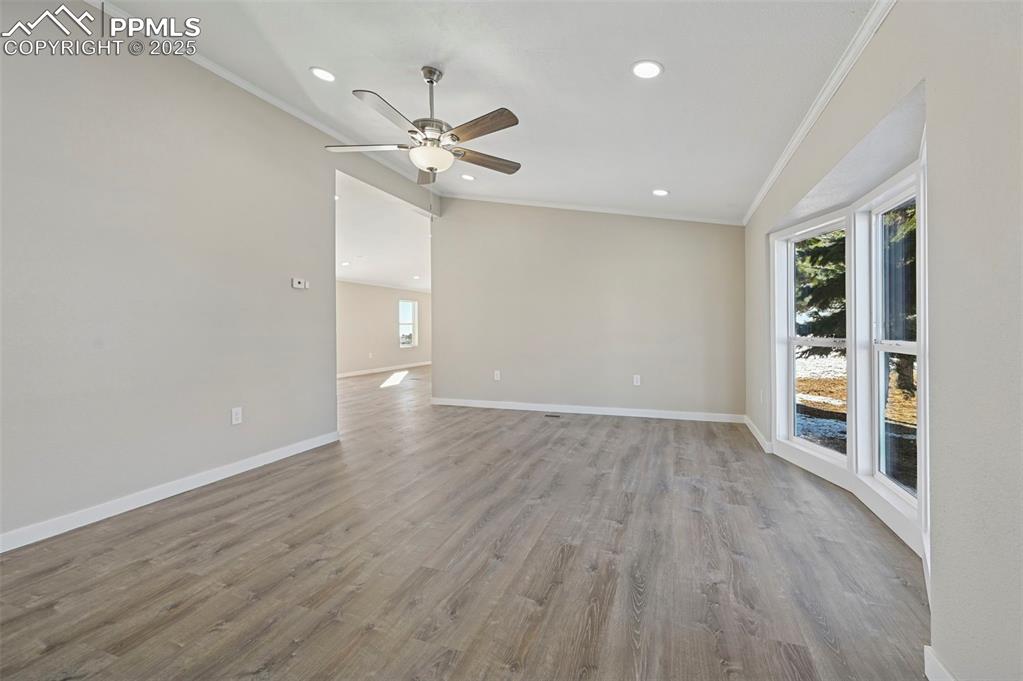 Image 10 of 50: Other