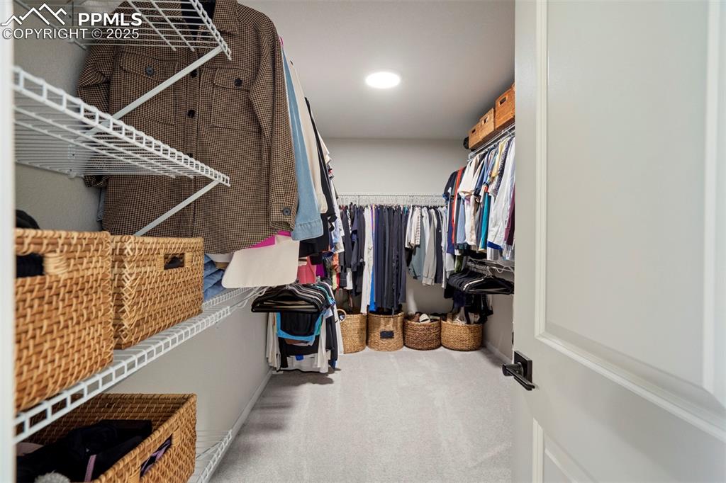 Image 19 of 47: Spacious closet featuring carpet floors