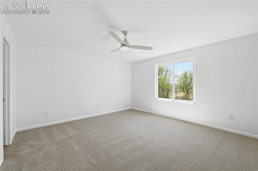 Image 14 of 30: Other