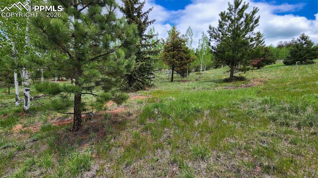 Image 10 of 42: Other