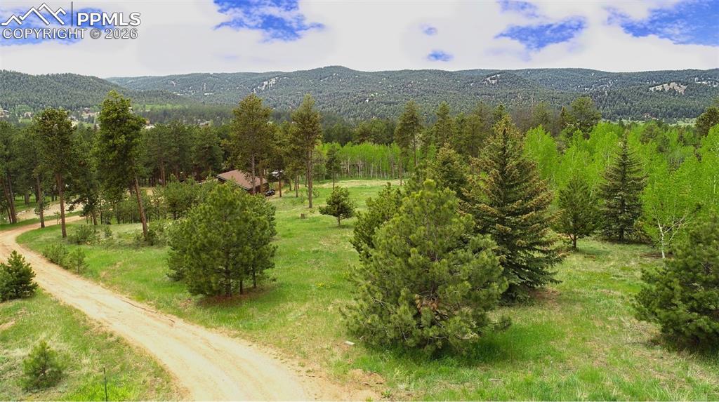 Image 13 of 42: View