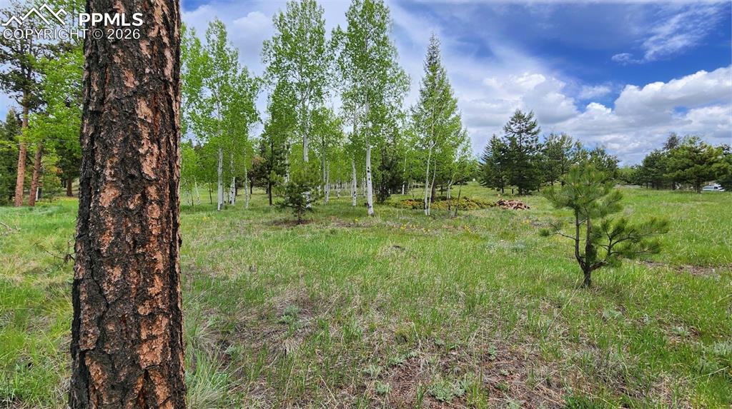 Image 15 of 42: Other