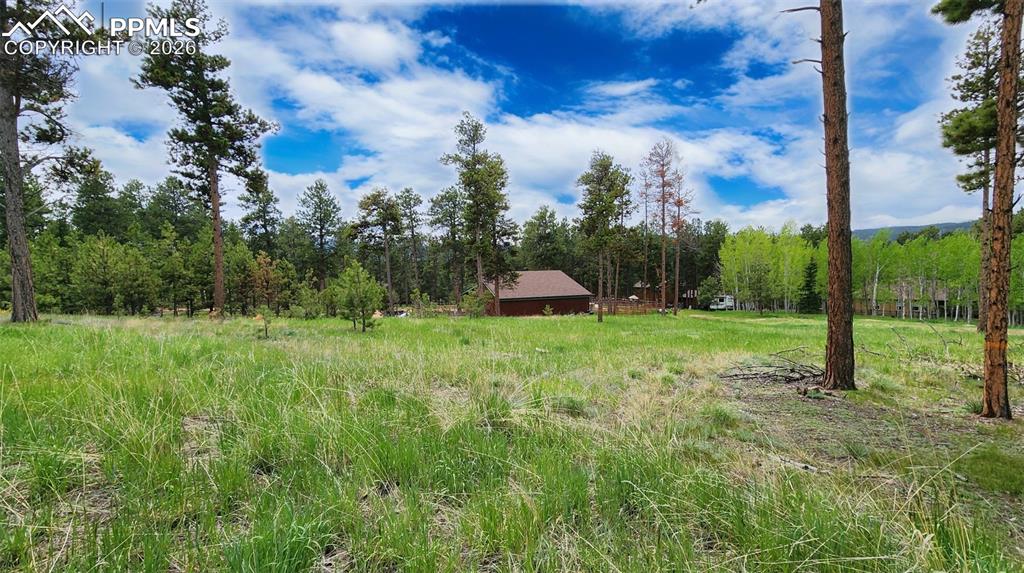 Image 16 of 42: Yard