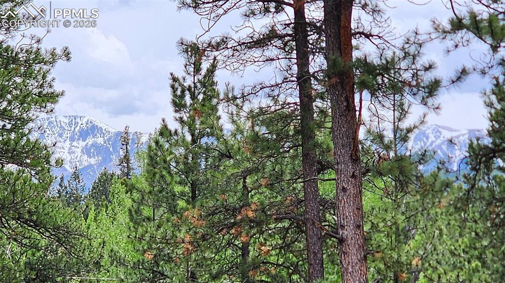 Image 17 of 42: View