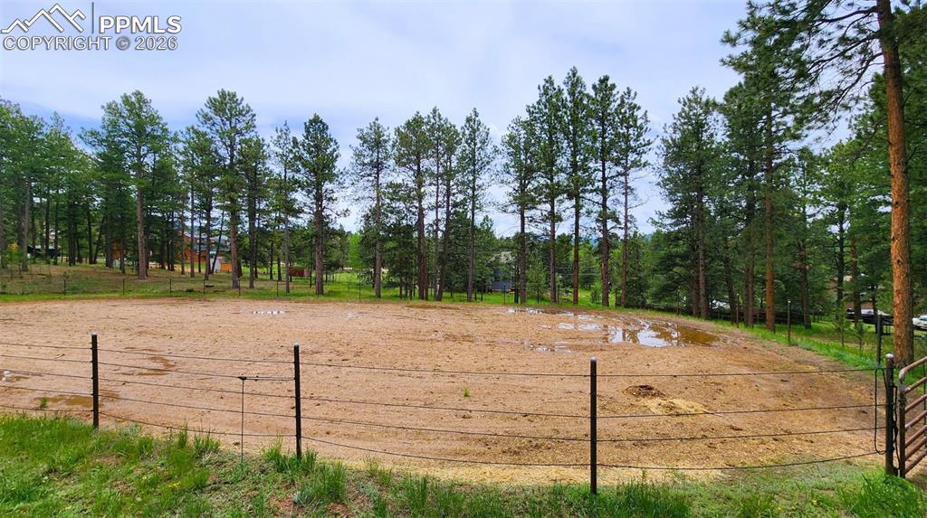 Image 19 of 42: Community