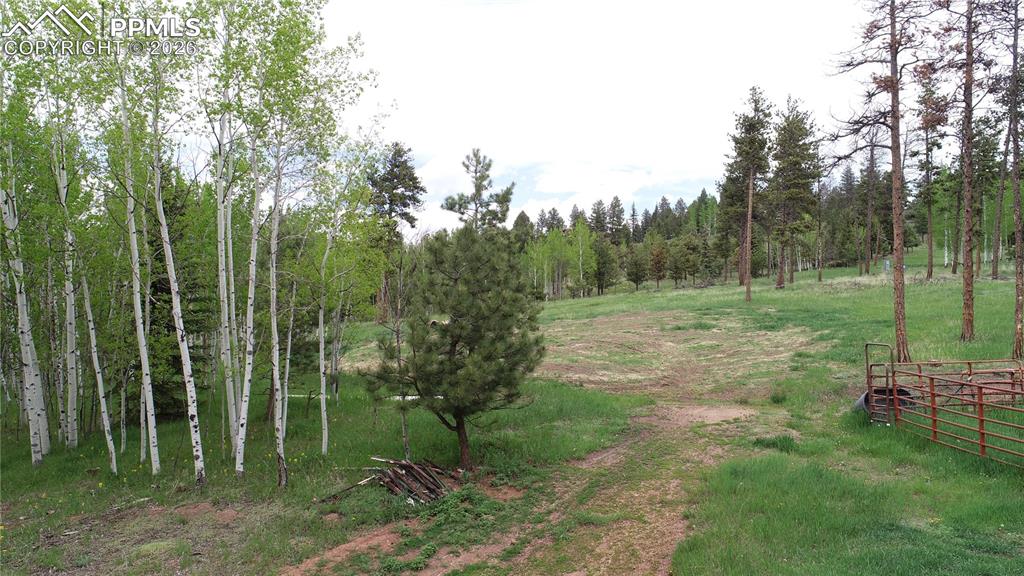 Image 30 of 42: Other