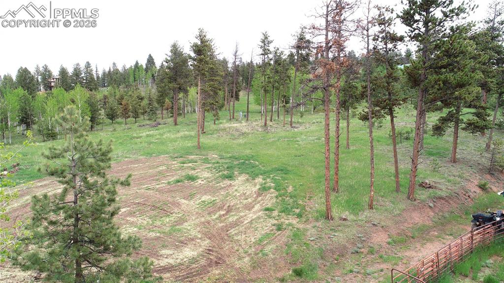 Image 31 of 42: Other