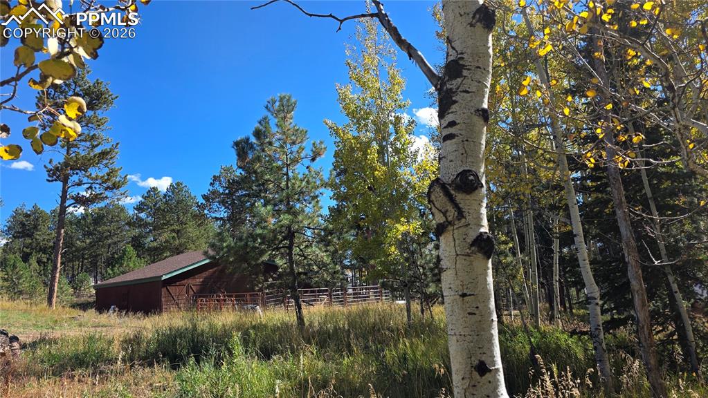 Image 33 of 42: Yard