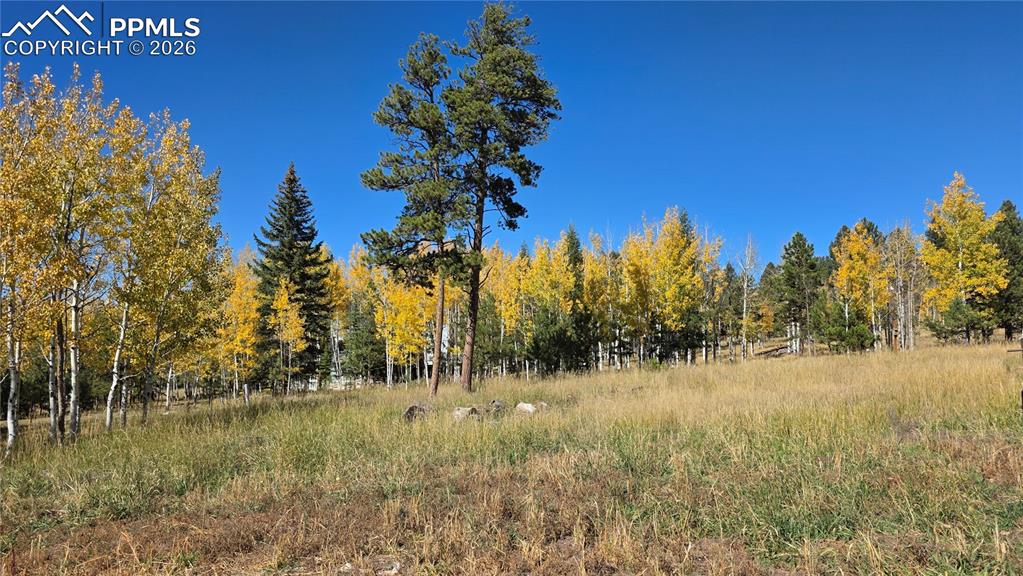 Image 34 of 42: Other