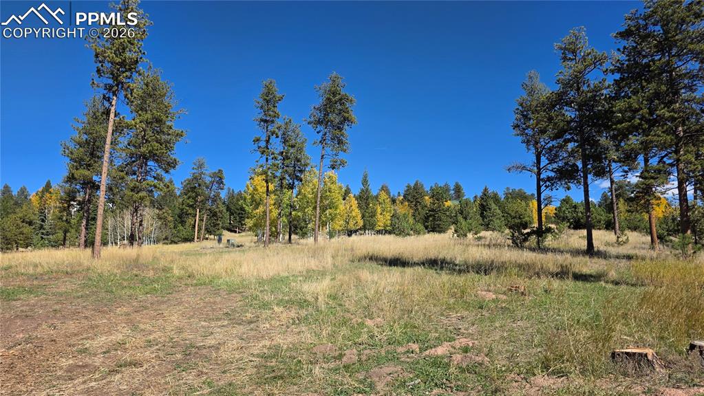 Image 35 of 42: Other