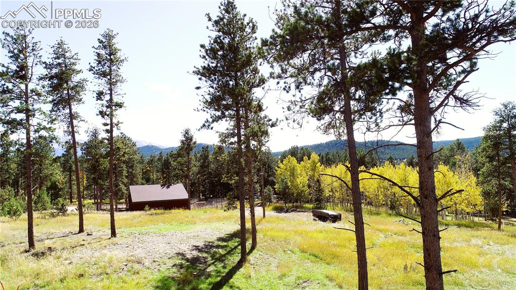 Image 36 of 42: Yard