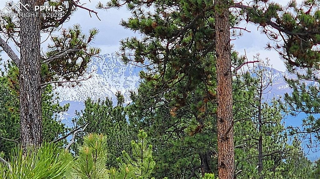 Image 5 of 42: Other