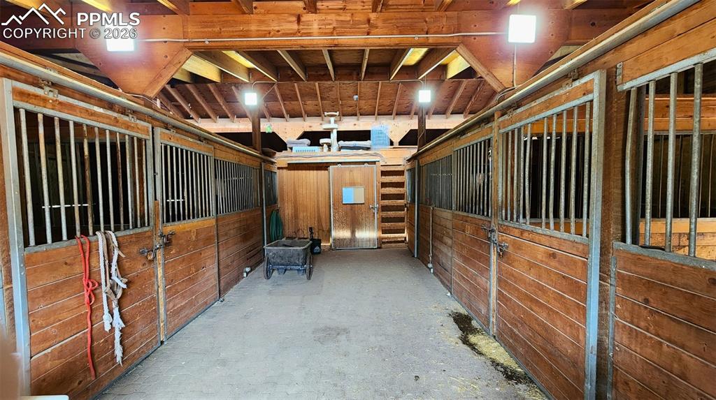 Image 6 of 42: Stable