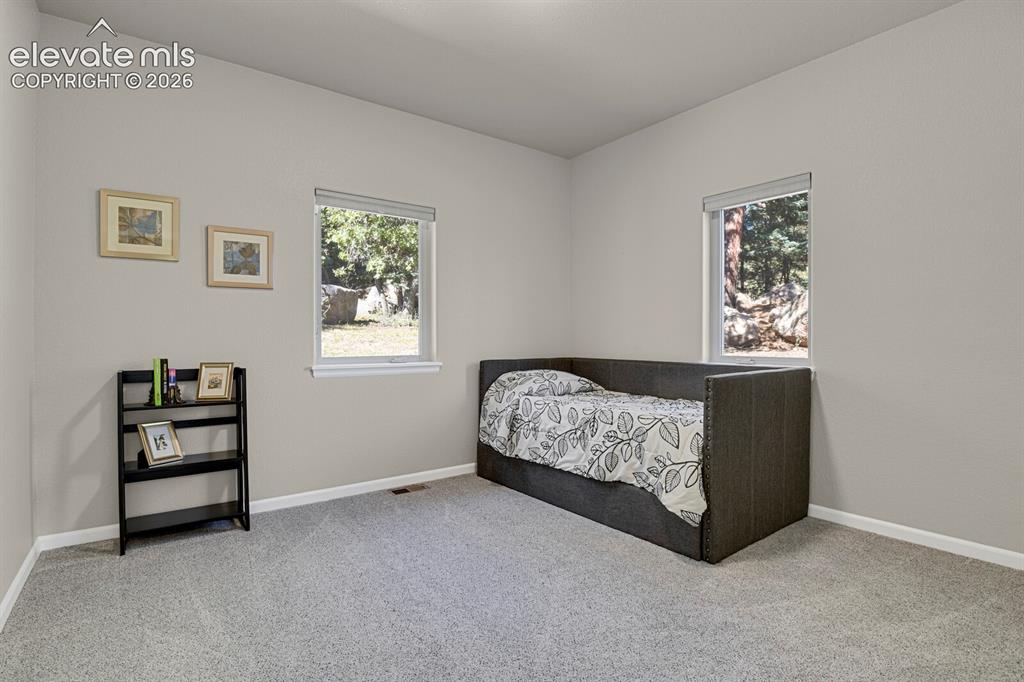 Image 25 of 46: Neutral-toned interior space featuring wall-to-wall carpeting and dual wind