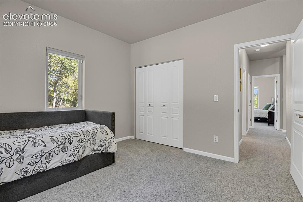 Image 26 of 46: Neutral wall tones, carpeted flooring, window with natural lighting, and wh