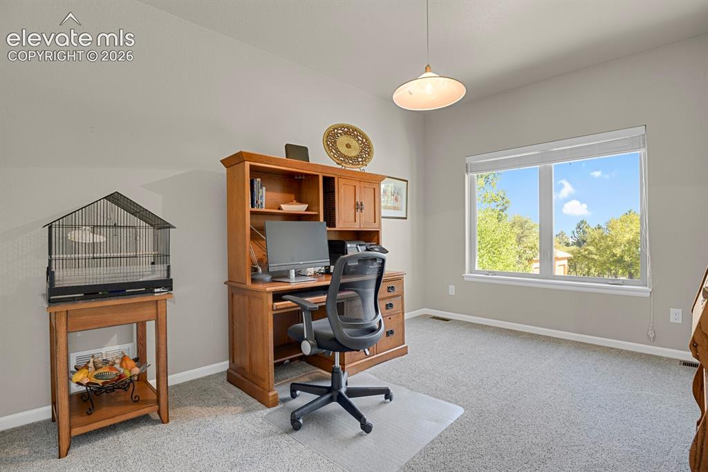 Image 30 of 46: Neutral-toned room featuring high ceilings, carpeted flooring, a large wind