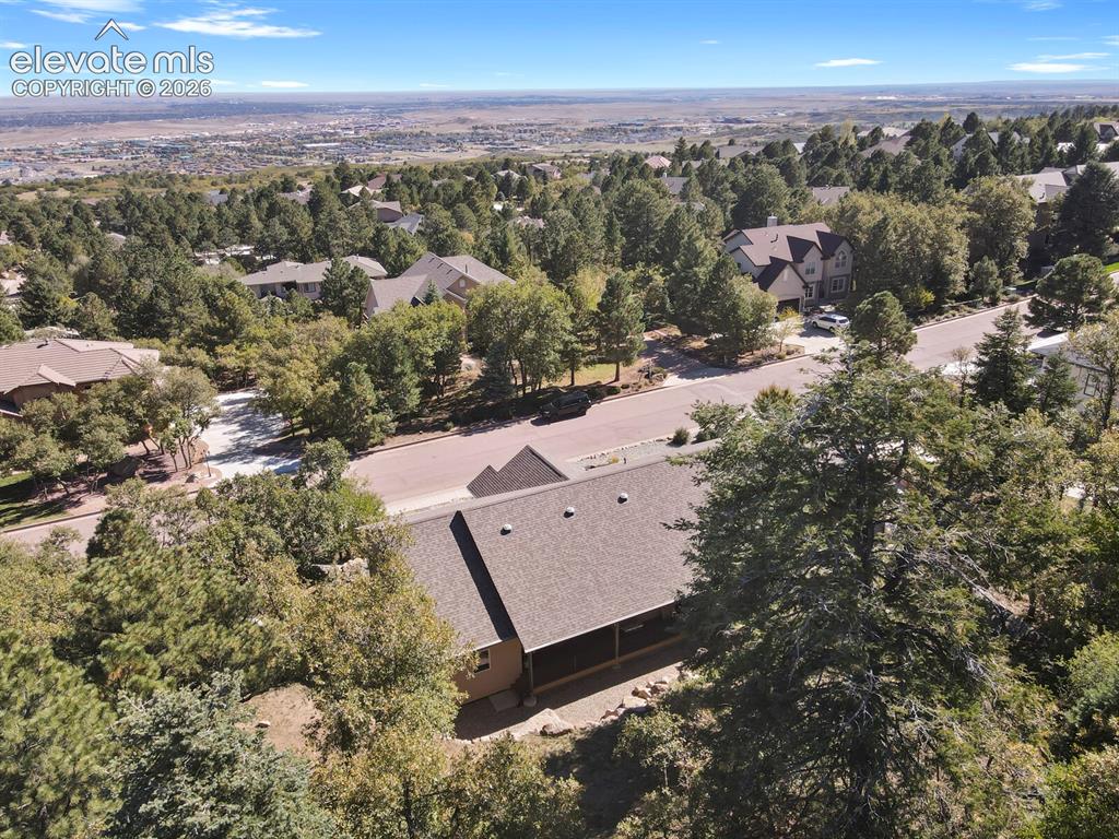 Image 45 of 46: Elevated hillside lot featuring mature pine trees and expansive residential