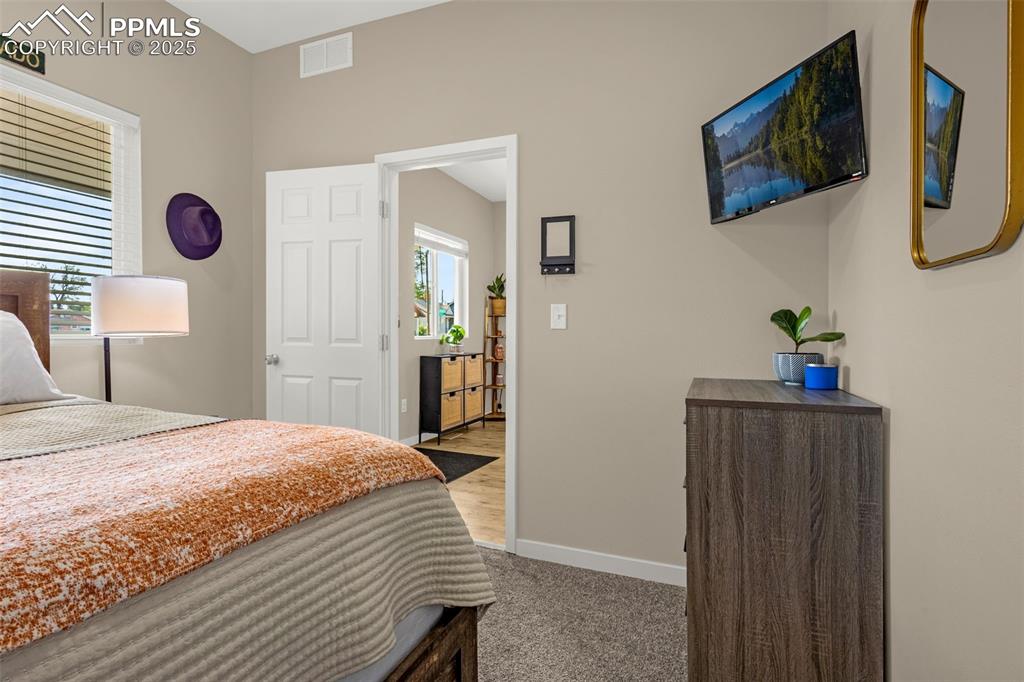 Image 18 of 36: Bedroom featuring multiple windows, baseboards, and carpet