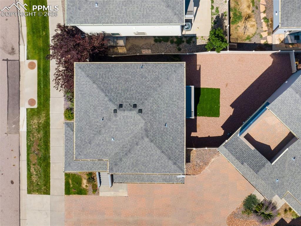 Image 33 of 39: Bird