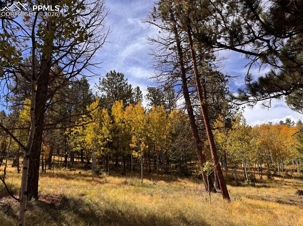 Image 10 of 21: No Description Available