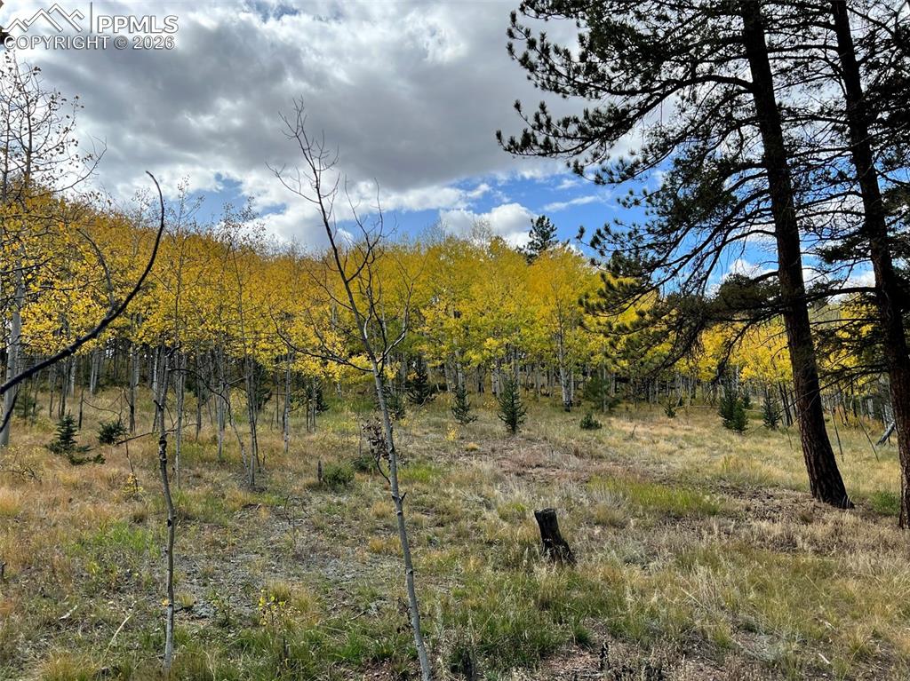 Image 11 of 21: No Description Available