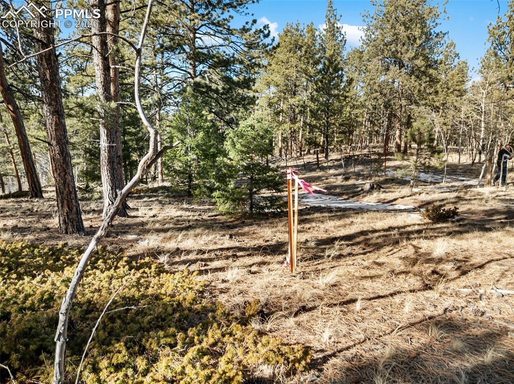 Image 13 of 21: No Description Available