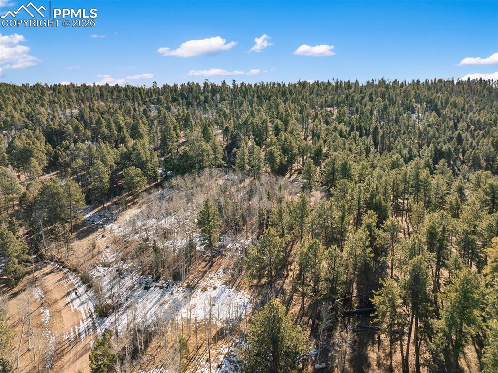 Image 14 of 21: No Description Available