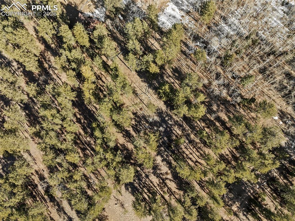 Image 15 of 21: No Description Available