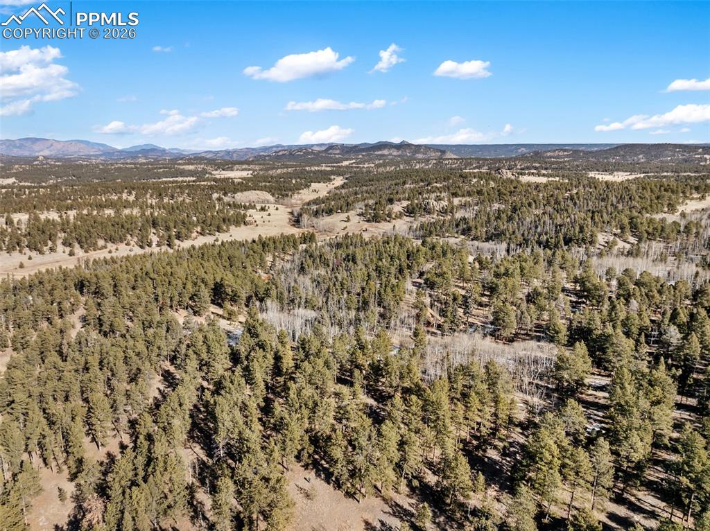 Image 16 of 21: No Description Available