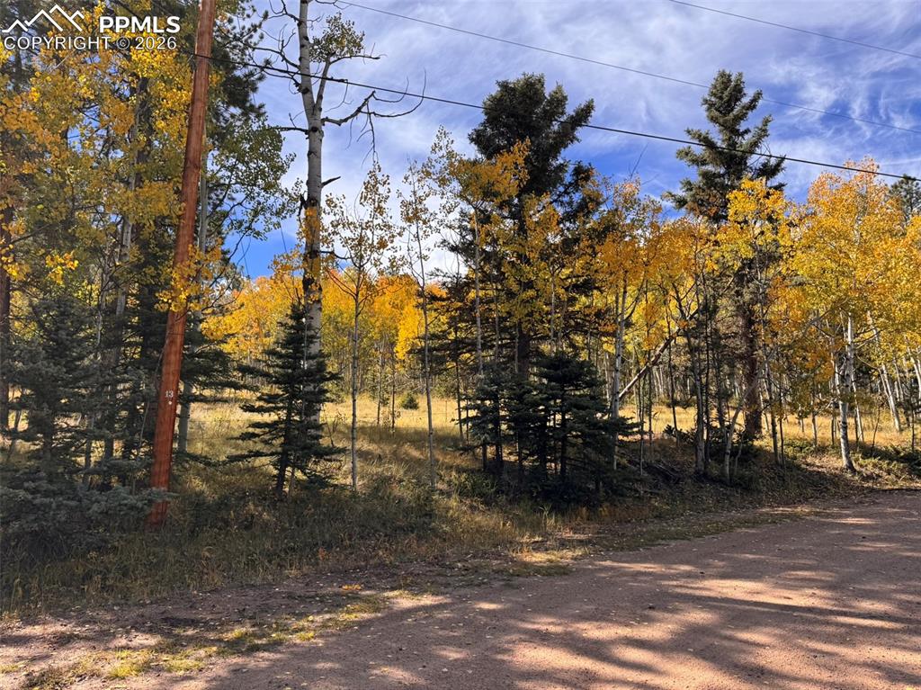 Image 18 of 21: No Description Available