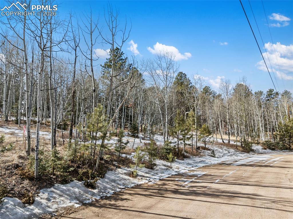 Image 20 of 21: No Description Available