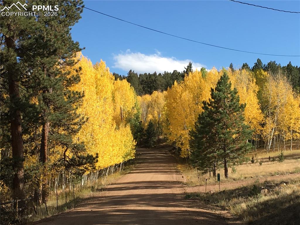 Image 4 of 21: No Description Available