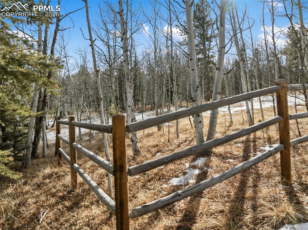 Image 5 of 21: No Description Available