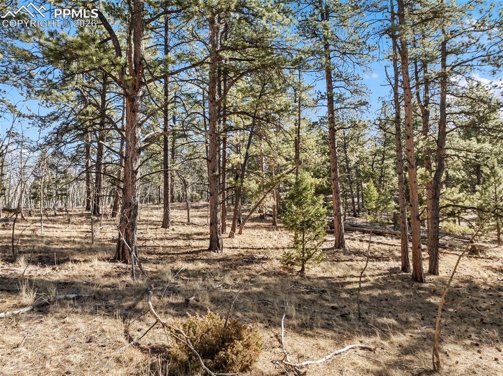 Image 6 of 21: No Description Available