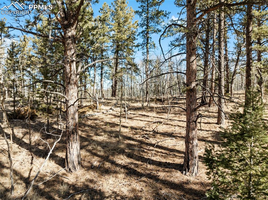 Image 9 of 21: No Description Available