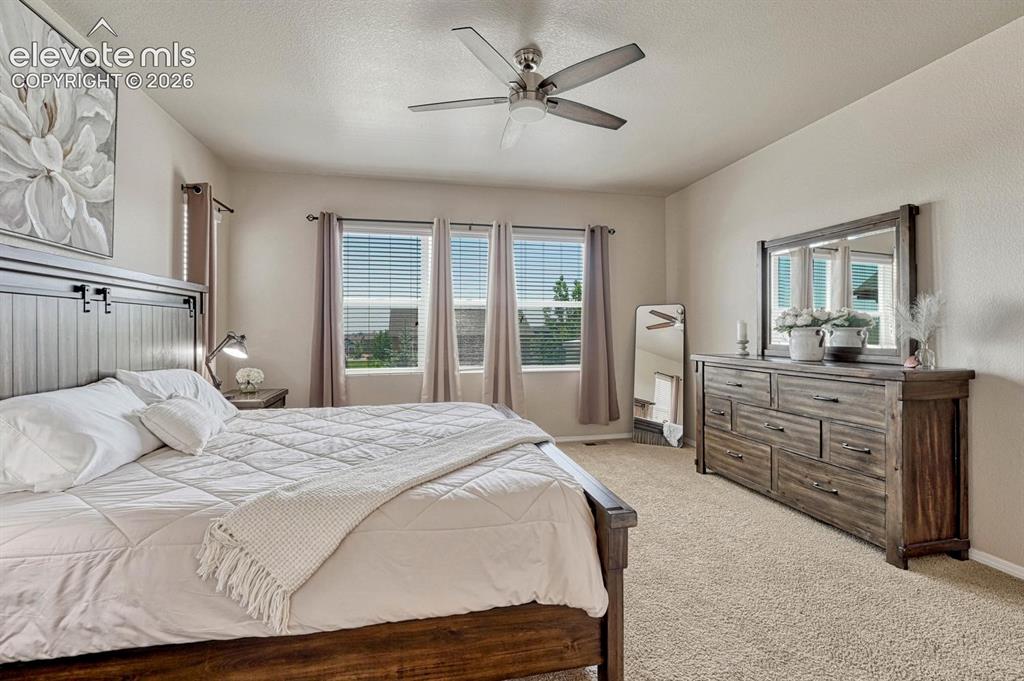 Image 26 of 50: The Primary Bedroom includes neutral carpet, a lighted ceiling fan, and a w
