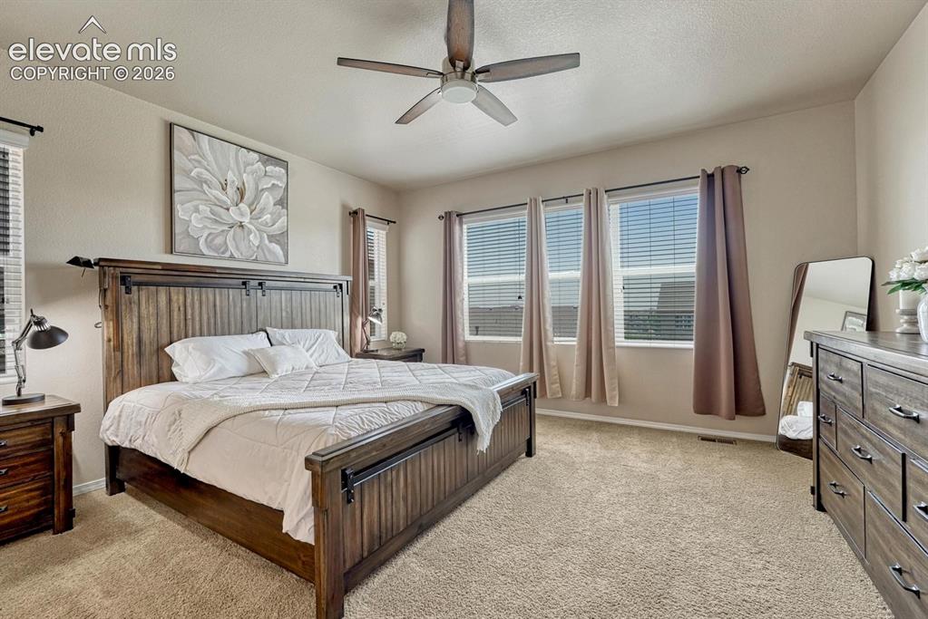 Image 8 of 50: The main level Primary Bedroom is a private retreat with neutral carpet, a