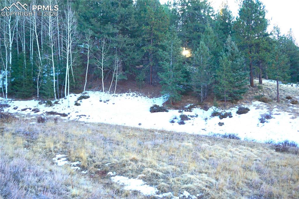 Image 10 of 11: No Description Available