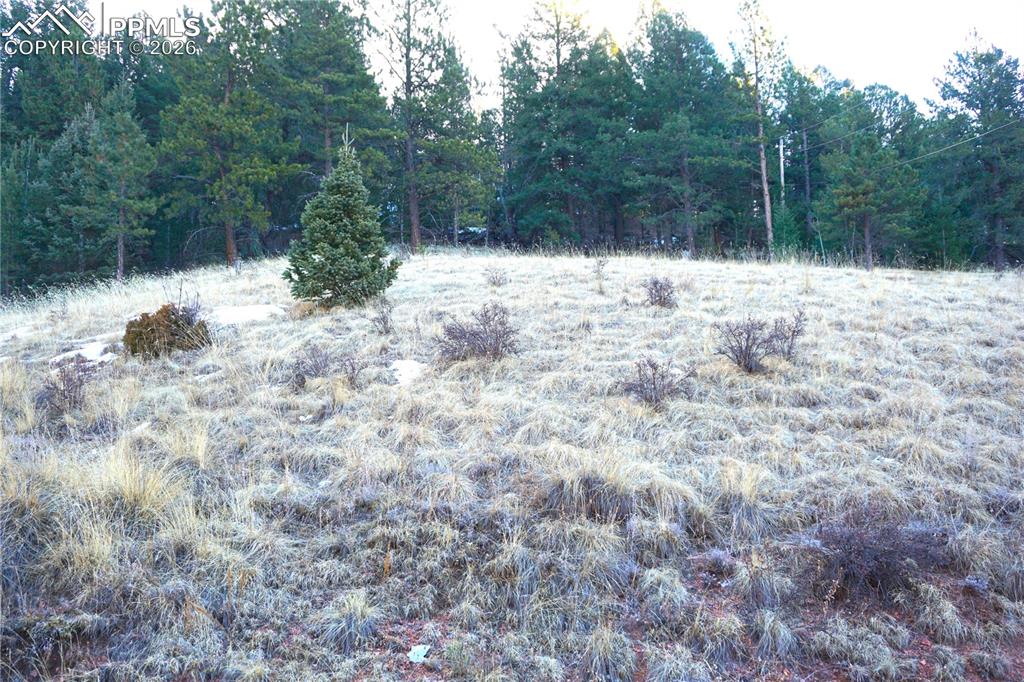 Image 11 of 11: No Description Available