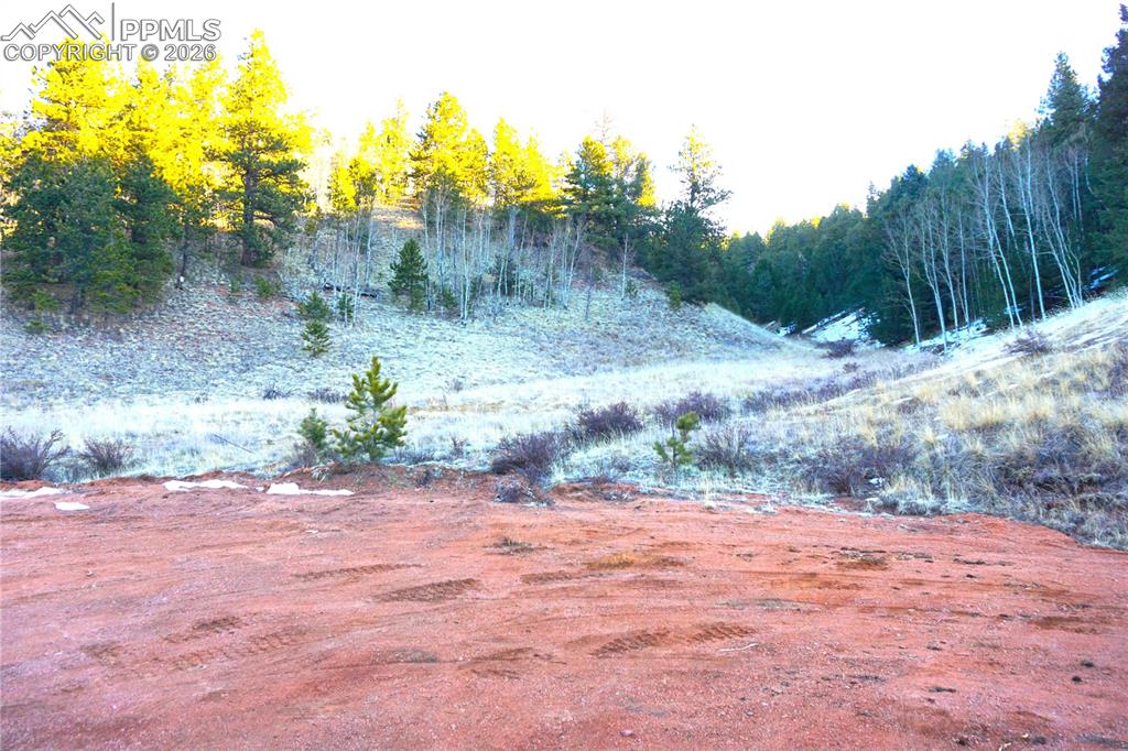 Image 2 of 11: No Description Available