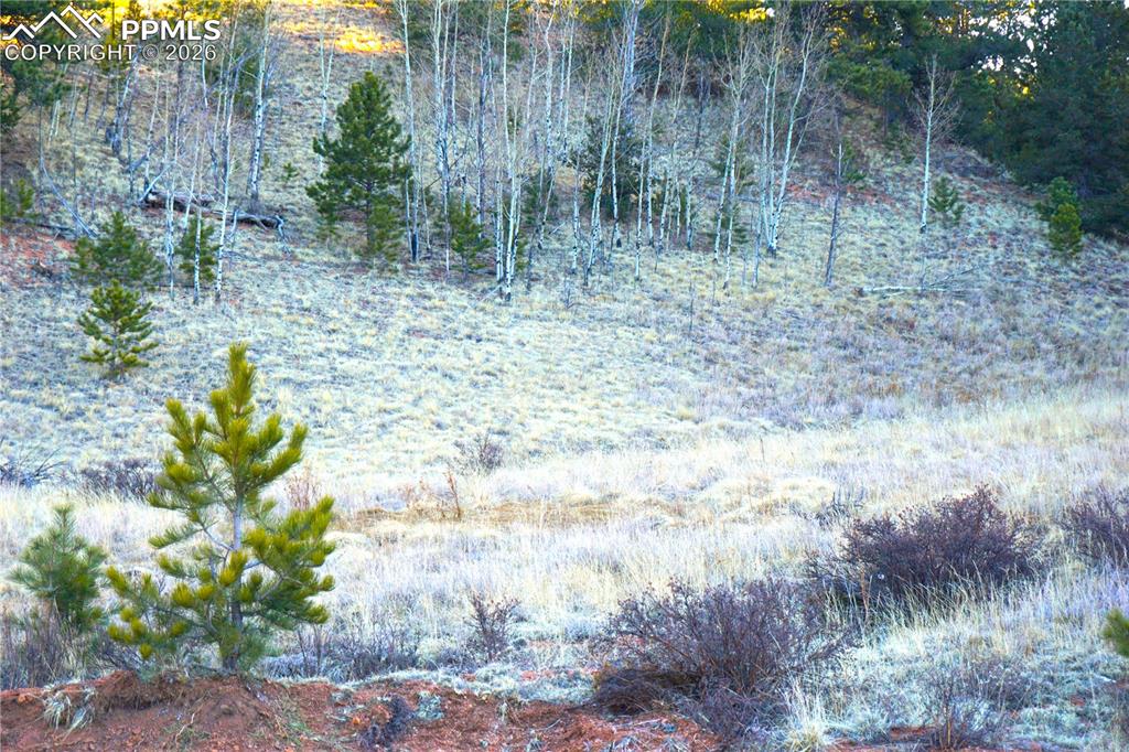 Image 4 of 11: No Description Available